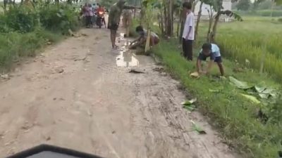 Warga Dusun Pager Tanam Pohon Pisang di Jalan Menuju Palangan