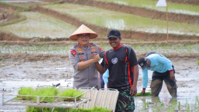 Kapolda Lampung Hadiri Gerak Tanam Raya Padi Serentak, Dukung Ketahanan Pangan Nasional