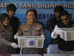 Ratusan Burung Ilegal Gagal Diselundupkan, Truk Diamankan di Pelabuhan Bakauheni