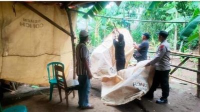Polisi Bongkar Arena Perjudian Sabung Ayam di Ngronggot Nganjuk