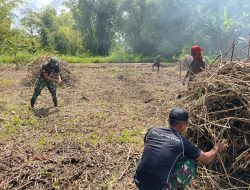 Semangat Kemanunggalan: Satgas Yonif 312/KH Giat Buka Lahan Pangan di Perbatasan Papua