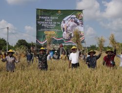 Dipimpin Presiden Prabowo, Wabup dan Forkompinda Tuban Panen Raya di Merakurak