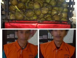 Polisi Tangkap 3 Pelaku pencuri satu mobil buah kelapa di malam hari.