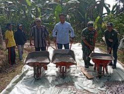 Pemerintah Desa Sukajaya Realisasikan Padat Karya Tunai (PKT) Laksanakan Pembangunan Jalan Rabat Beton.
