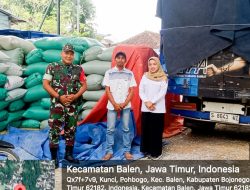 Program Sergab, Babinsa Balen Bojonegoro Kawal Distribusi 20 Ton Gabah Petani Pohbogo ke Gudang Bulog