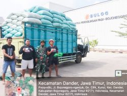Babinsa Kodim Bojonegoro terus Dampingi Penyerapan Gabah Petani
