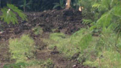 Proyek Embung di Bojonegoro Dikerjakan Tanpa Rekanan, Diduga Langgar Prosedur