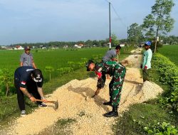 Dukung BBGRM, Jajaran Babinsa Kodim Bojonegoro Karya Bakti Bersama Masyarakat