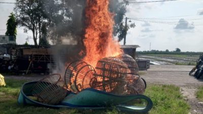 Polisi Bongkar Arena Judi Sabung Ayam di TPS Ngaglik Sidoarjo