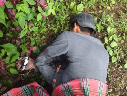 OPM Kembali Tembak 2 Warga Sipil Pekerja Bangunan Gereja