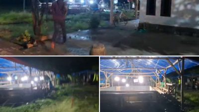 Gagal Tangkap Pelaku, Penggerebekan Judi Sabung Ayam di Sukomoro Nganjuk Ibarat Drama Tanpa Akhir”