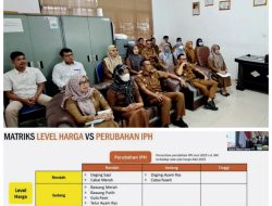 Harga Beras Masih Menggila! Jadi Biang Kerok Tertinggi IPH Akhir Juni Tahun 2025
