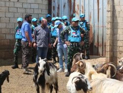Rayakan Idul Adha, Satgas Indobatt TNI Serahkan 100 Hewan Kurban Untuk Masyarakat Lebanon Selatan
