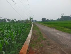 Pemerintah Desa Wedoro Sudah Selesaikan Bangun Tembok Penahan Tebing (TPT)