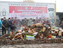 Polres Lampung Selatan Ungkap 24 Kasus Narkoba, Sita Lebih dari 396 Kg Sabu dan Ganja