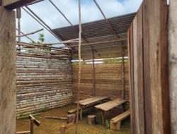 Sekolah Rusak Tak Jadi Halangan, Satgas Yonif 126/KC Pos Inggembit Ajar Anak-Anak Calistung di Perbatasan Papua