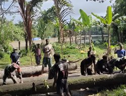 Karya Bakti TNI AD Pos Ramil1714-07/Fawi Bergotong Royong Bersama Masyarakat Guna Mewujudkan Kebersamaan dan Rasa Kepedulian