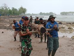 TNI, Warga, dan Balai Taman Nasional Wasur Gotong Royong Bangun Akses Kehidupan di Pedalaman Merauke lewat Jembatan Tradisional