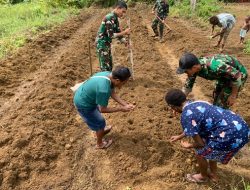 TNI dan Warga Wametkapa Bersatu Kelola Lahan Tidur untuk Ketahanan Pangan Nasional