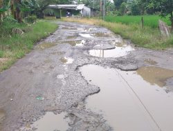 Jalan Usaha Pertanian dan Perkebunan Di Area Ponpes Babul Hikmah Kalianda Lamsel Rusak Berat Bertahun-tahun, Butuh Perhatian Serius dari Pemkab Setempat