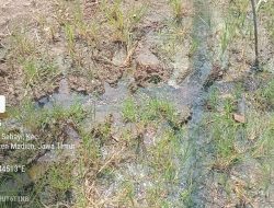 Air PDAM Bocor Tak Kunjung Diperbaiki di Gemarang, Warga Soroti Potensi Kerugian Daerah