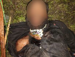 Satgas Gabungan TNI Lumpuhkan Dua Anggota OPM dan Amankan Dokumen Penting