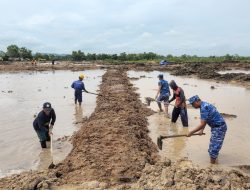 Lanud Sultan Hasanuddin dan Kelompok Tani Pinrang Garap Lahan Bersama Dukung Program Ketahanan Pangan Pemerintah