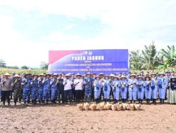 Danlanud Sultan Hasanuddin Pimpin Panen Jagung Hibrida di Lahan Binaan Lanud Seluas 53 Hektar, Dukung Ketahanan Pangan Nasional