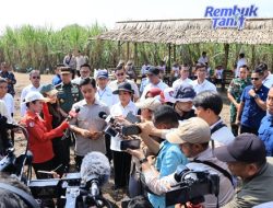 Panglima TNI Kawal Langsung Panen Tebu Untuk Swasembada Gula Nasional