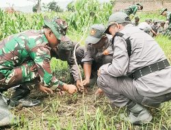 Sukseskan Program Unggulan KASAD, Satgas TMMD 125 Bojonegoro dan Warga Soko Tanam Ribuan Bibit Pohon Produktif