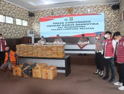 90 Ribu Jiwa Terselamatkan, Polisi Bongkar Penyelundupan Ganja di Bakauheni