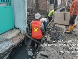 Proyek Tambak Wedi Tengah 5 Surabaya Dikeluhkan: Warga Sebut Proyek Siluman