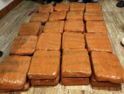 Polda Lampung Gagalkan Penyelundupan 40 Kg Ganja, Kurir Asal Padang Ditangkap