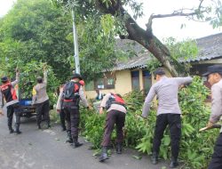 Polres Tuban Bersama TNI, BPBD Bantu Masyarakat Pasca Terjadi Bencana Angin Puting Beliung