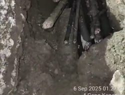 Polda Jatim Tangkap Komplotan Pencuri Kabel Primer di Kedinding, Muncul Dugaan Dilepas