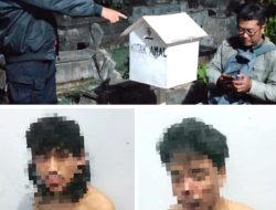 Apes.! Aksi Dua Maling Uang Kotak Amal di Blitar Ditangkap Polisi: Begini Modus dan Faktanya
