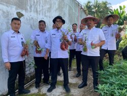 “Panen Ubi Mantang di Lapas Kalianda, Wujudkan Program Ketahanan Pangan”