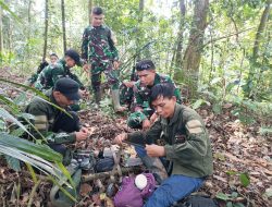 Ekspedisi Macan Tutul Jawa di Sanggabuana Catat Temuan Penting, TNI AD Perkuat Kiprah Pelestarian Alam