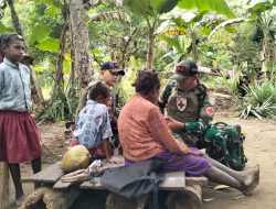 Kesehatan Masyarakat, Prioritas Satgas Yonif 312/KH