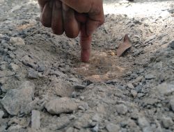 Proyek Jalan Rigid Beton Trucuk–Padang Diduga Asal Jadi, Warga Bojonegoro Soroti Kualitas Pekerjaan