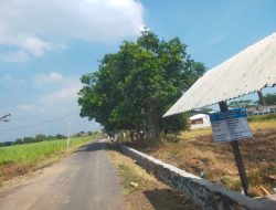 Pemdes Parasrejo Melaksanakan Pembangunan Proyek Plengsengan Irigasi