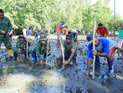 Lestarikan Pantai, Satgas TMMD Kodim 1505/Tidore Galakkan Penanaman Mangrove di Oba Selatan