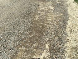 Diduga Proyek Siluman, Pembangunan Rigid Beton Ngelo–Sumberagung Disorot: Volume Tipis, Panjang 6 Km Tanpa Papan Informasi