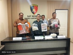 Polres Lamsel Berhasil Amankan Seorang Pelaku Pelecehan Anak Dibawah Umur, Satu Lainnya DPO