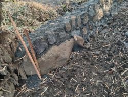 Proyek Irigasi Sungai Berantas Provinsi yang Berlokasi di Desa Pohgedang, Diduga Dikerjakan Asal Jadi