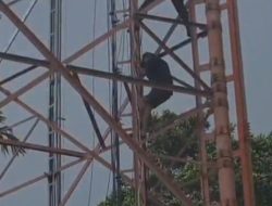 Polisi Panjat Tower, Warga dan Polisi Berhasil Amankan Pelaku Pencurian di Rajabasa