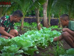 Satgas Yonif 312/KH Pos Kotis Ubah Lahan Tidur Jadi Lahan Produktif