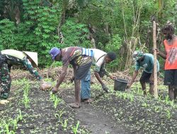 Panen Kebersamaan di Perbatasan: Satgas Kala Hitam dan Warga Giatkan Ketahanan Pangan