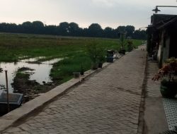 Jalan Usaha Tani di Paving, Pemdes Winong : Untuk Perlancar Petani ke Sawah