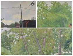 Miris.!!! Pasca Badai, Dua Hari Listrik di Beberapa Rumah Warga Gempol Mati, Lapor PLN Diabaikan.?